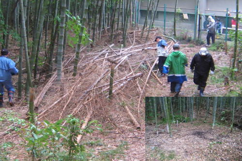 竹切り作業写真１５