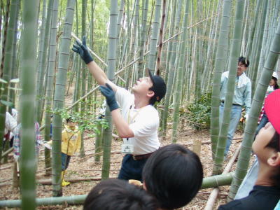 竹切り作業写真１０
