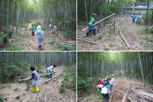 竹切り作業写真４